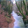 185-8552_IMG